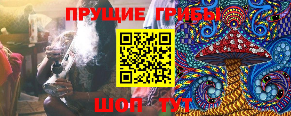 Курчалой  Галлюциногенные грибы мицелий  Вход с VPN 
